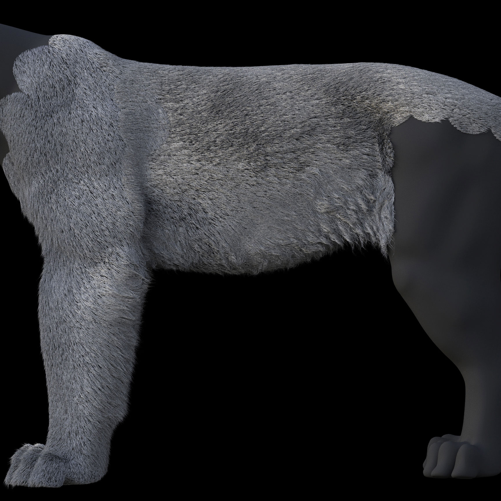 groom_torso_04 groom_torso_04